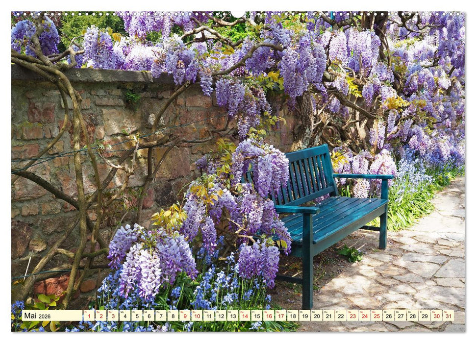 Der Hermannshof Das Parkjuwel in Weinheim an der Bergstraße (CALVENDO Wandkalender 2026)