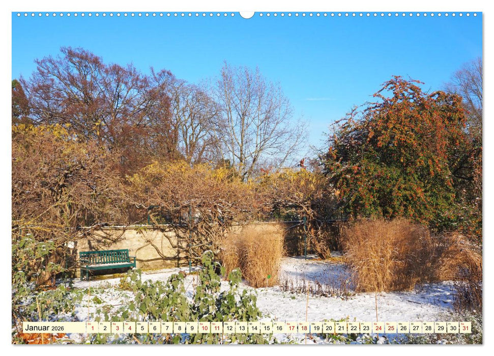 Der Hermannshof Das Parkjuwel in Weinheim an der Bergstraße (CALVENDO Premium Wandkalender 2026)