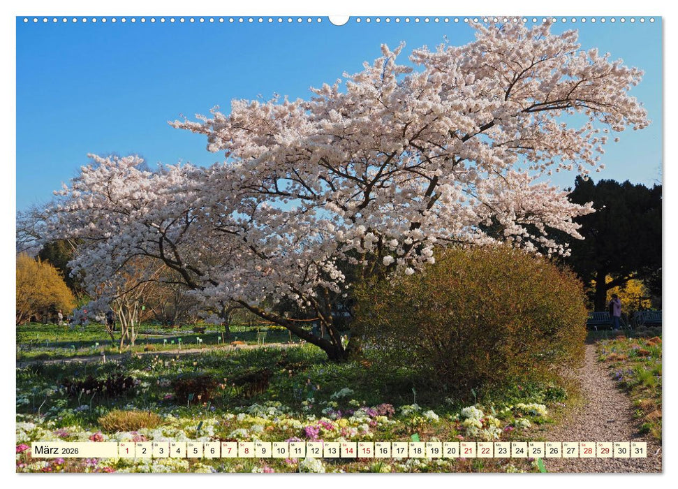 Der Hermannshof Das Parkjuwel in Weinheim an der Bergstraße (CALVENDO Premium Wandkalender 2026)