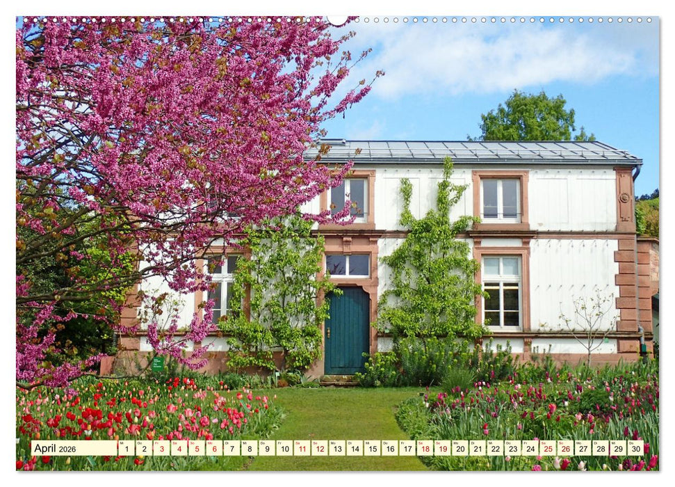 Der Hermannshof Das Parkjuwel in Weinheim an der Bergstraße (CALVENDO Premium Wandkalender 2026)