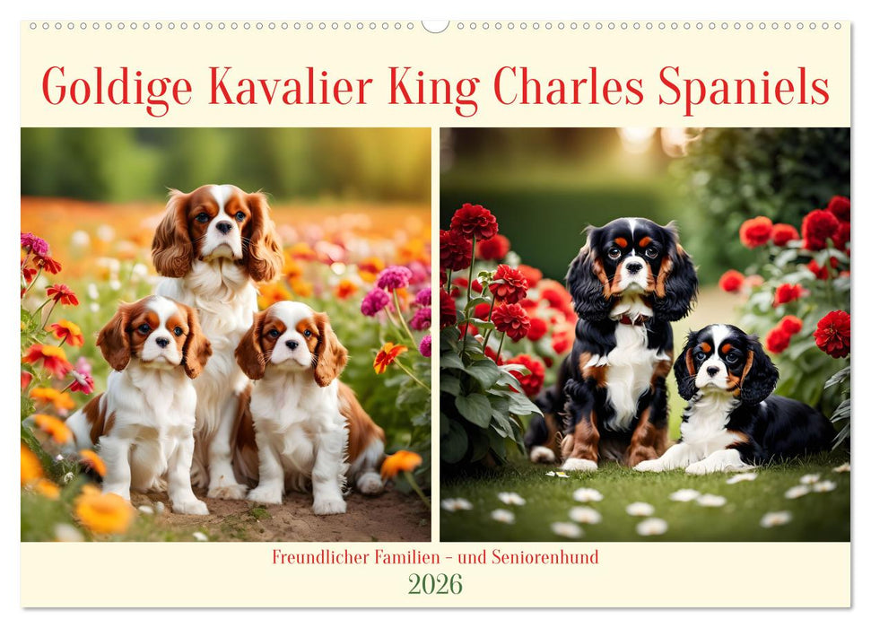 Goldige Kavalier King Charles Spaniels (CALVENDO Wandkalender 2026)