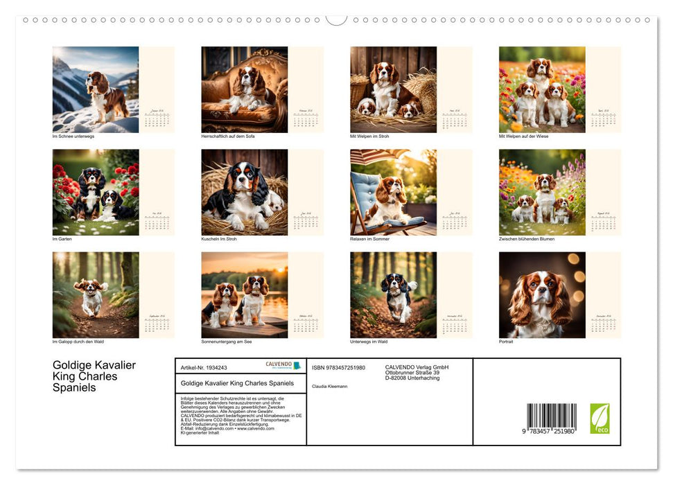Goldige Kavalier King Charles Spaniels (CALVENDO Premium Wandkalender 2026)