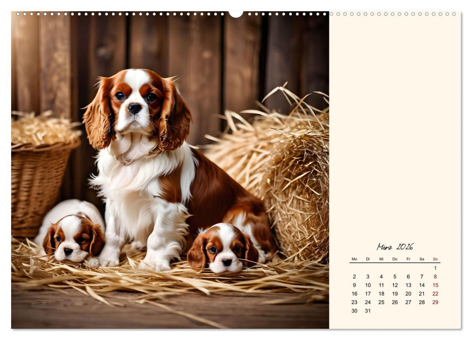 Goldige Kavalier King Charles Spaniels (CALVENDO Premium Wandkalender 2026)