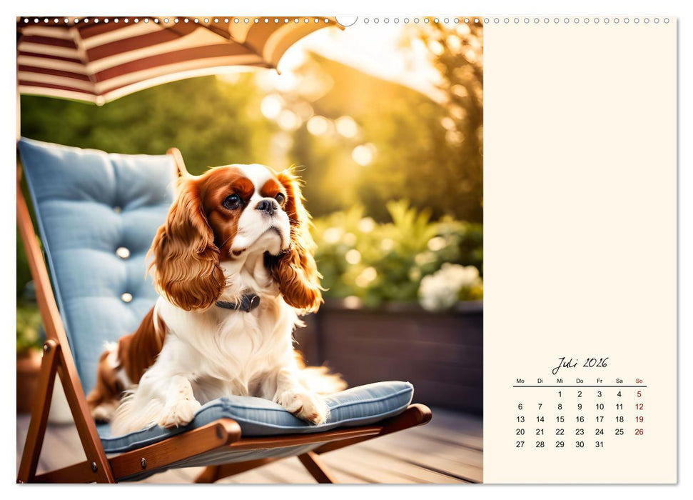 Goldige Kavalier King Charles Spaniels (CALVENDO Premium Wandkalender 2026)