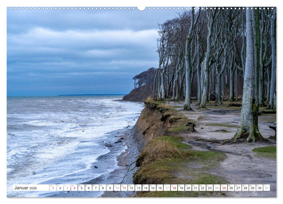 Deutsche Bundesländer - Mecklenburg-Vorpommern (CALVENDO Premium Wandkalender 2026)