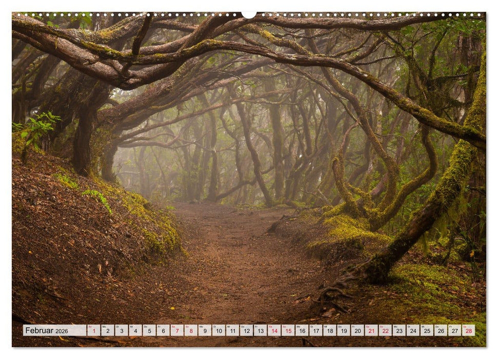 Die stille Magie der Insel Teneriffa (CALVENDO Wandkalender 2026)