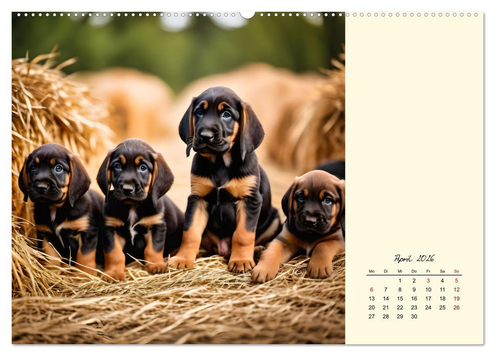 Bloodhound - Mächtige Spürnase (CALVENDO Wandkalender 2026)