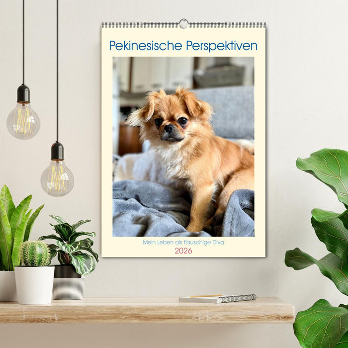 Pekinesische Perspektiven - Mein Leben als flauschige Diva (CALVENDO Wandkalender 2026)