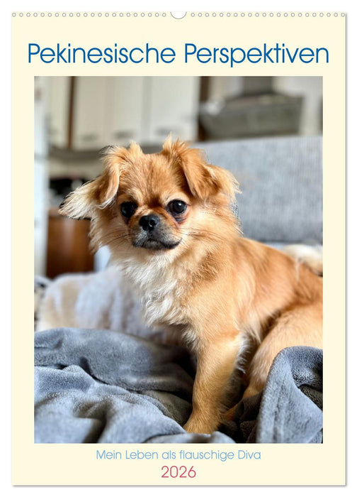 Pekinesische Perspektiven - Mein Leben als flauschige Diva (CALVENDO Wandkalender 2026)