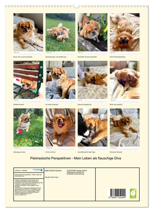 Pekinesische Perspektiven - Mein Leben als flauschige Diva (CALVENDO Premium Wandkalender 2026)