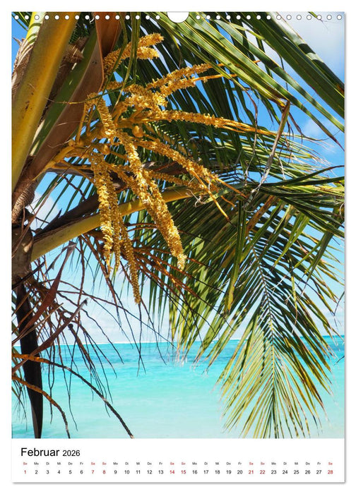 Karibischer Flair (CALVENDO Wandkalender 2026)