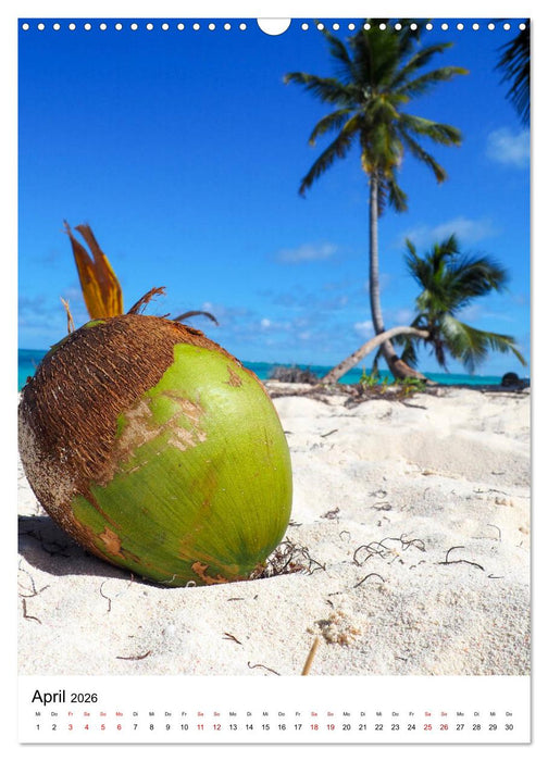 Karibischer Flair (CALVENDO Wandkalender 2026)