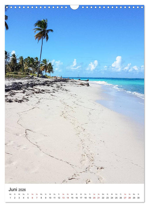 Karibischer Flair (CALVENDO Wandkalender 2026)