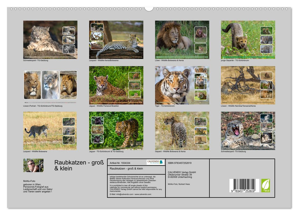 Raubkatzen - groß & klein (CALVENDO Premium Wandkalender 2026)