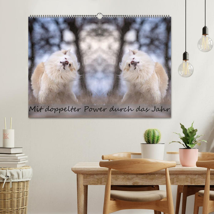 Mit doppelter Power durch das Jahr (CALVENDO Wandkalender 2026)