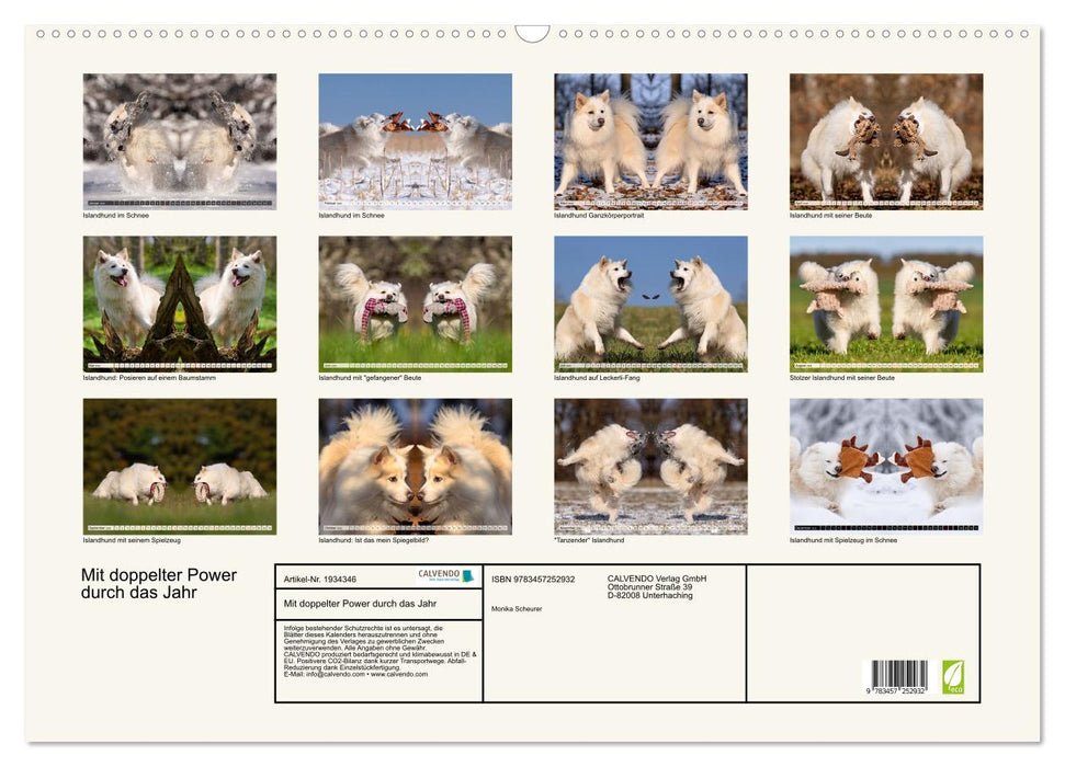 Mit doppelter Power durch das Jahr (CALVENDO Wandkalender 2026)