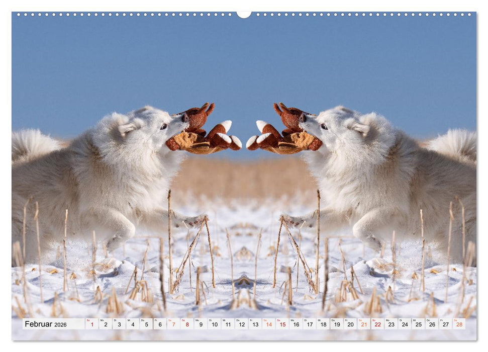 Mit doppelter Power durch das Jahr (CALVENDO Wandkalender 2026)