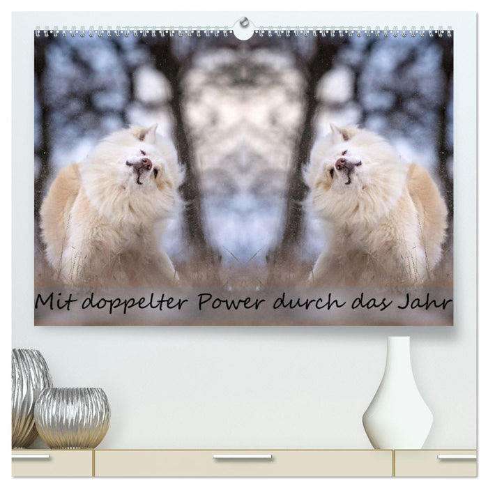 Mit doppelter Power durch das Jahr (CALVENDO Premium Wandkalender 2026)