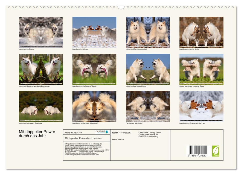 Mit doppelter Power durch das Jahr (CALVENDO Premium Wandkalender 2026)