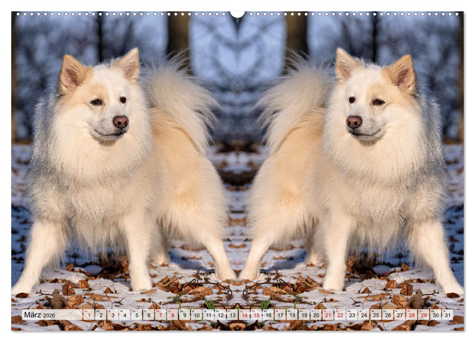 Mit doppelter Power durch das Jahr (CALVENDO Premium Wandkalender 2026)