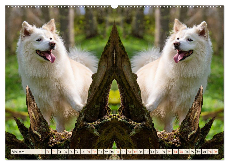 Mit doppelter Power durch das Jahr (CALVENDO Premium Wandkalender 2026)