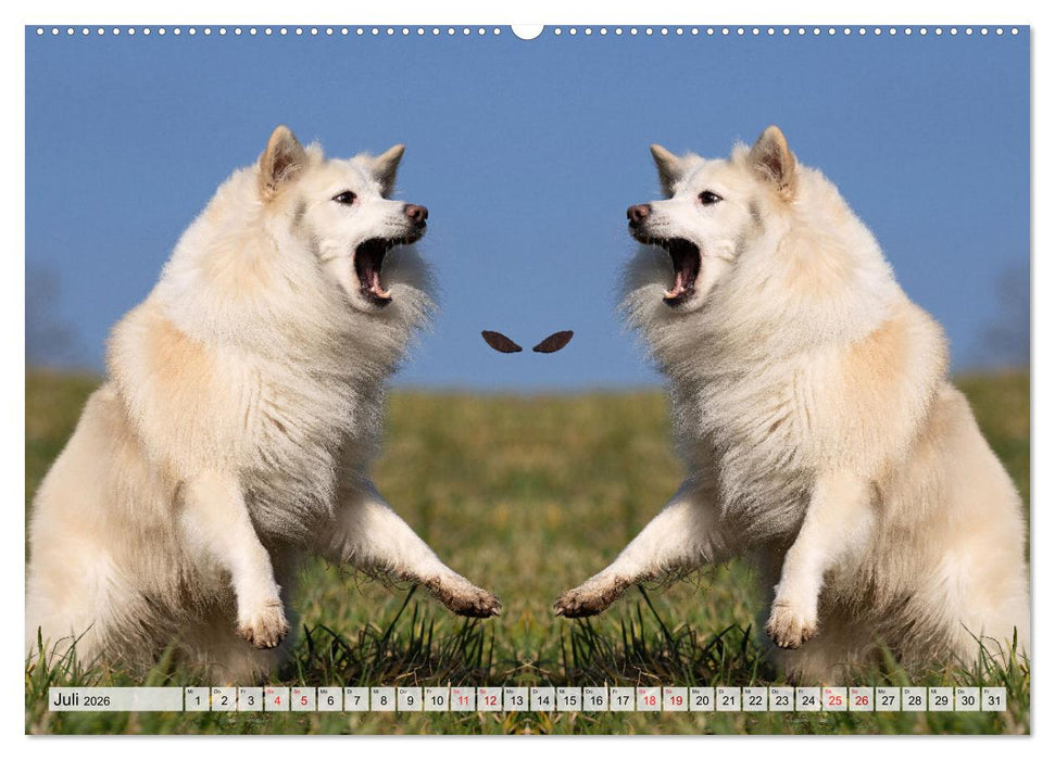 Mit doppelter Power durch das Jahr (CALVENDO Premium Wandkalender 2026)