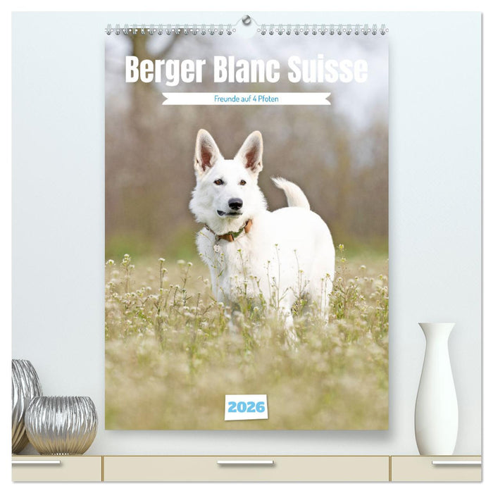 Berger Blanc Suisse - Freunde auf 4 Pfoten (CALVENDO Premium Wandkalender 2026)