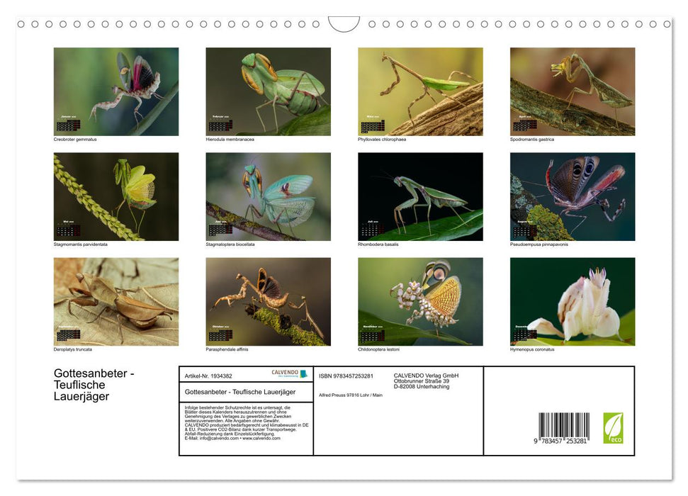 Gottesanbeter - Teuflische Lauerjäger (CALVENDO Wandkalender 2026)