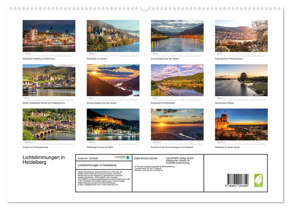 Lichtstimmungen in Heidelberg (CALVENDO Premium Wandkalender 2026)