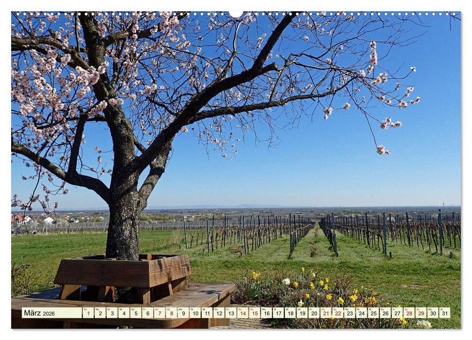 Südliche Weinstraße Eine Einladung zum Verweilen (CALVENDO Wandkalender 2026)