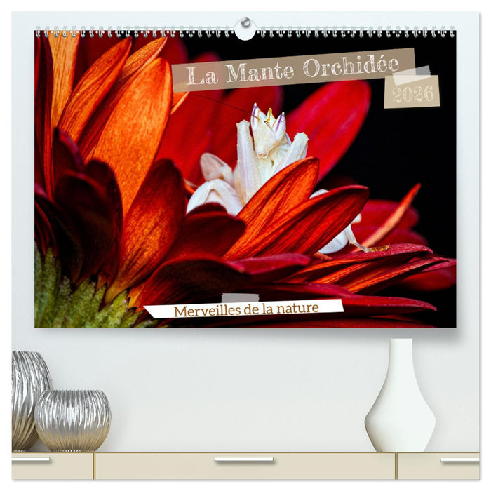 La Mante Orchidée (CALVENDO Calendrier supérieur 2026)
