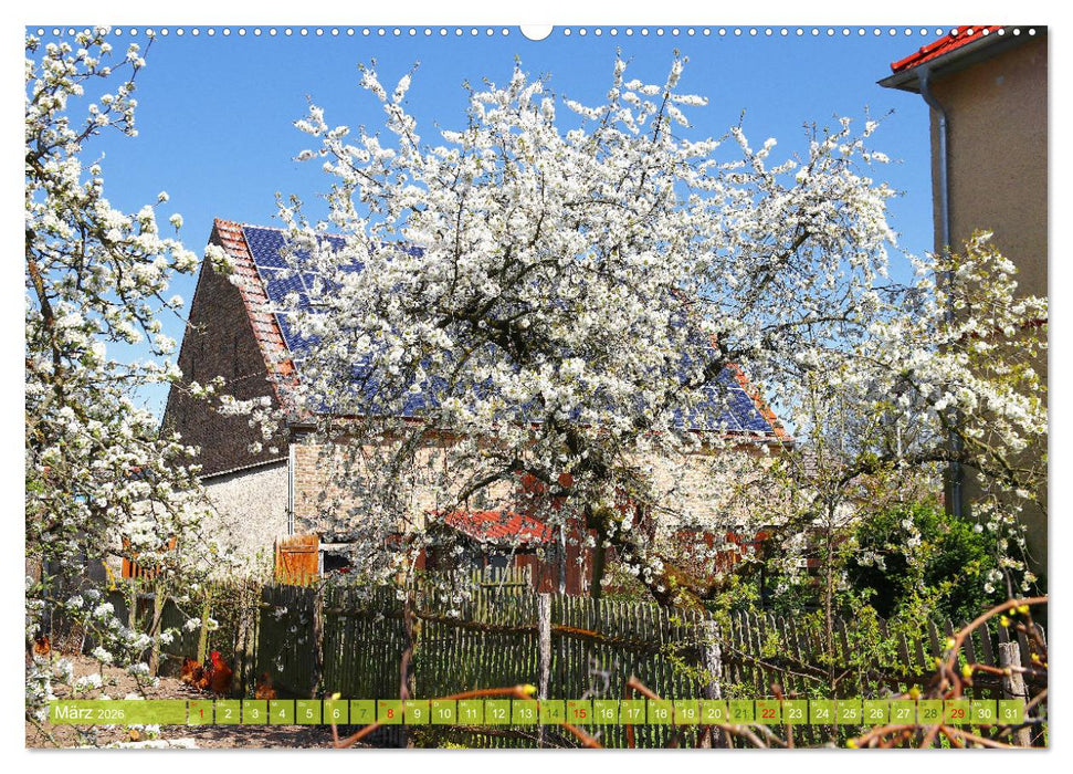 Brandenburg - Schöne Orte im Landkreis Potsdam-Mittelmark (CALVENDO Premium Wandkalender 2026)