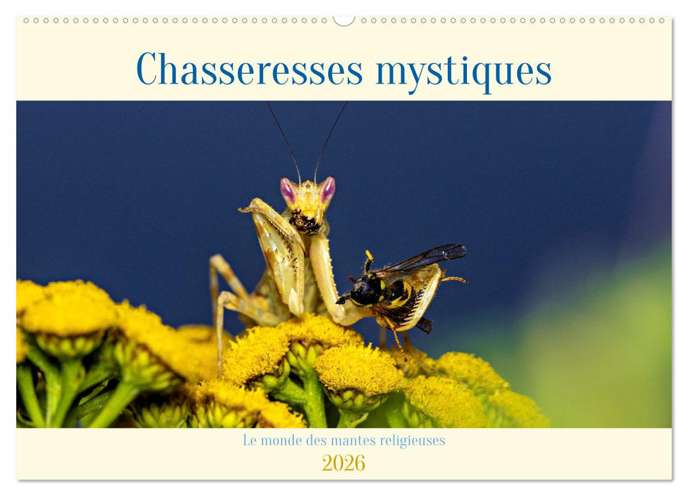 Chasseresses mystiques (CALVENDO Calendrier mensuel 2026)