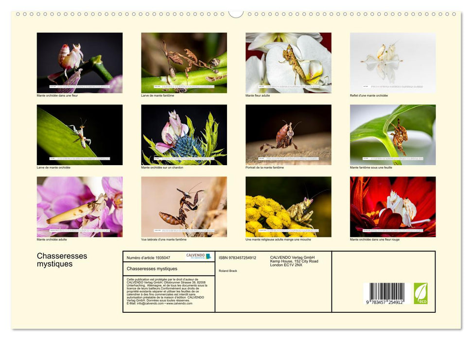 Chasseresses mystiques (CALVENDO Calendrier supérieur 2026)