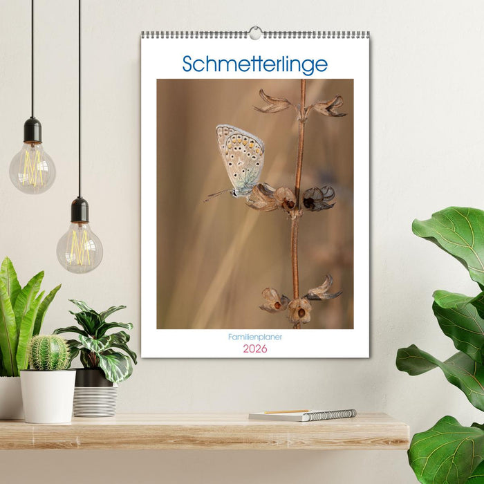 Schmetterlinge in Bayern (CALVENDO Wandkalender 2026)