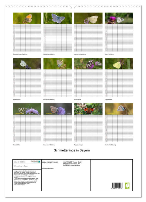 Schmetterlinge in Bayern (CALVENDO Wandkalender 2026)