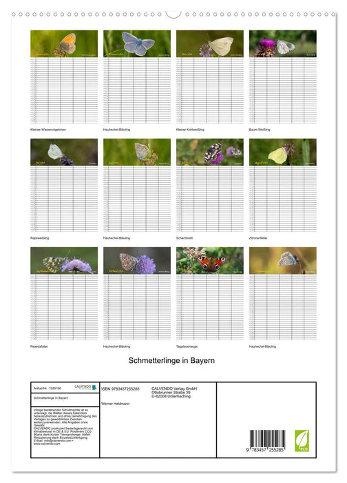 Schmetterlinge in Bayern (CALVENDO Premium Wandkalender 2026)