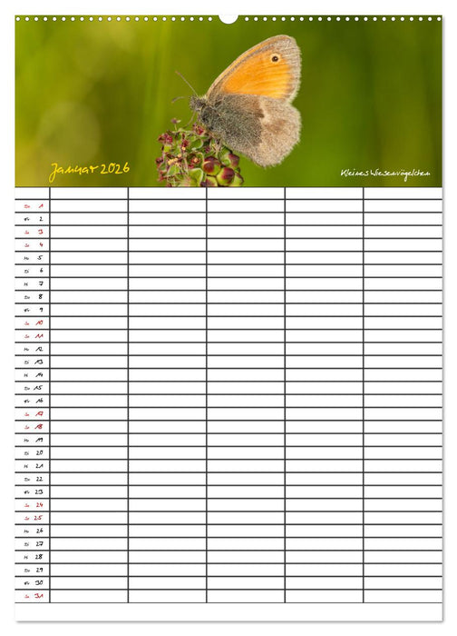 Schmetterlinge in Bayern (CALVENDO Premium Wandkalender 2026)