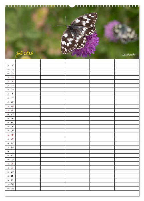 Schmetterlinge in Bayern (CALVENDO Premium Wandkalender 2026)