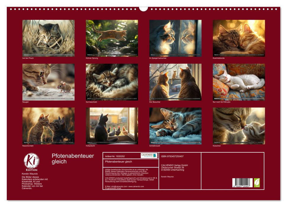 Pfotenabenteuer gleich (CALVENDO Wandkalender 2026)