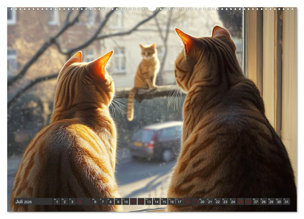 Pfotenabenteuer gleich (CALVENDO Premium Wandkalender 2026)