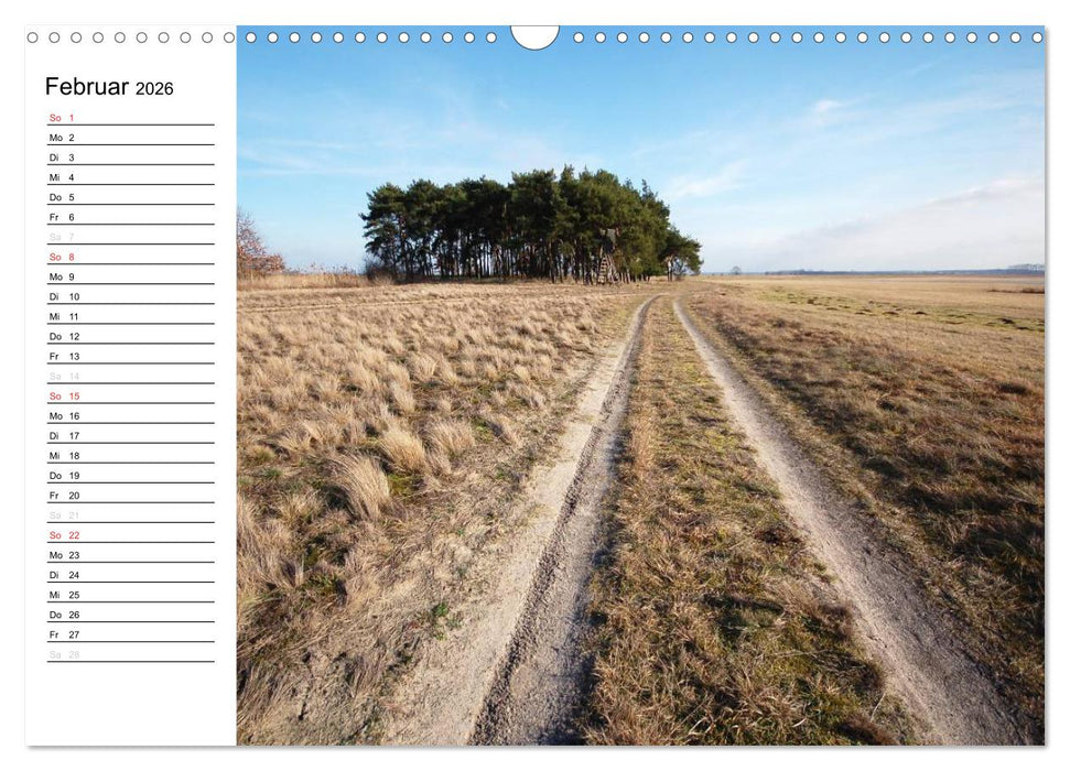 Die Jahreszeiten im Havelland (CALVENDO Wandkalender 2026)