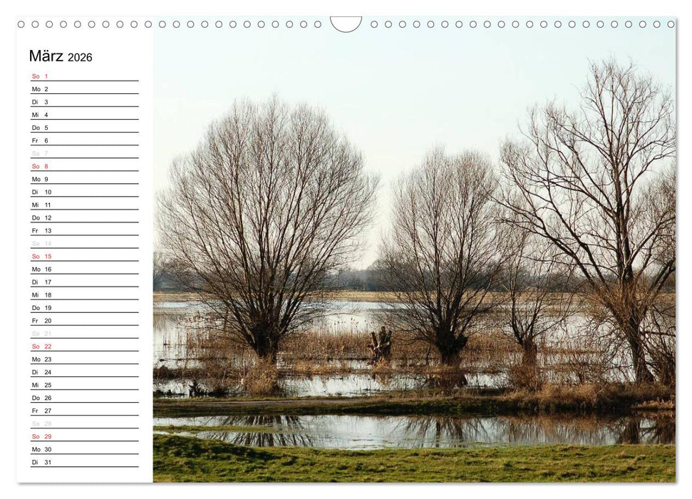Die Jahreszeiten im Havelland (CALVENDO Wandkalender 2026)