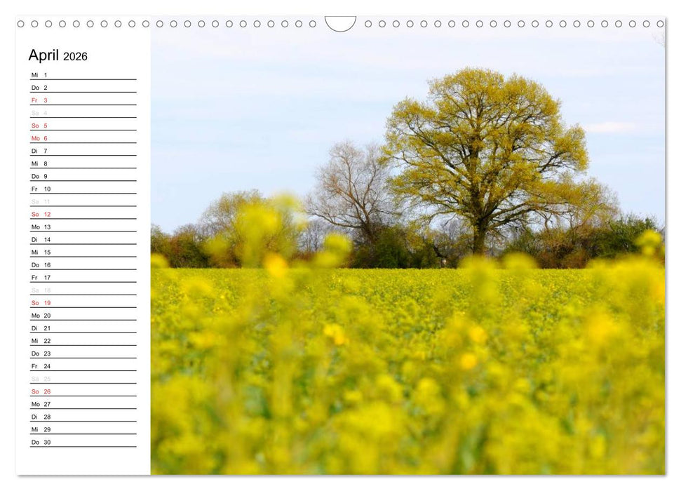 Die Jahreszeiten im Havelland (CALVENDO Wandkalender 2026)