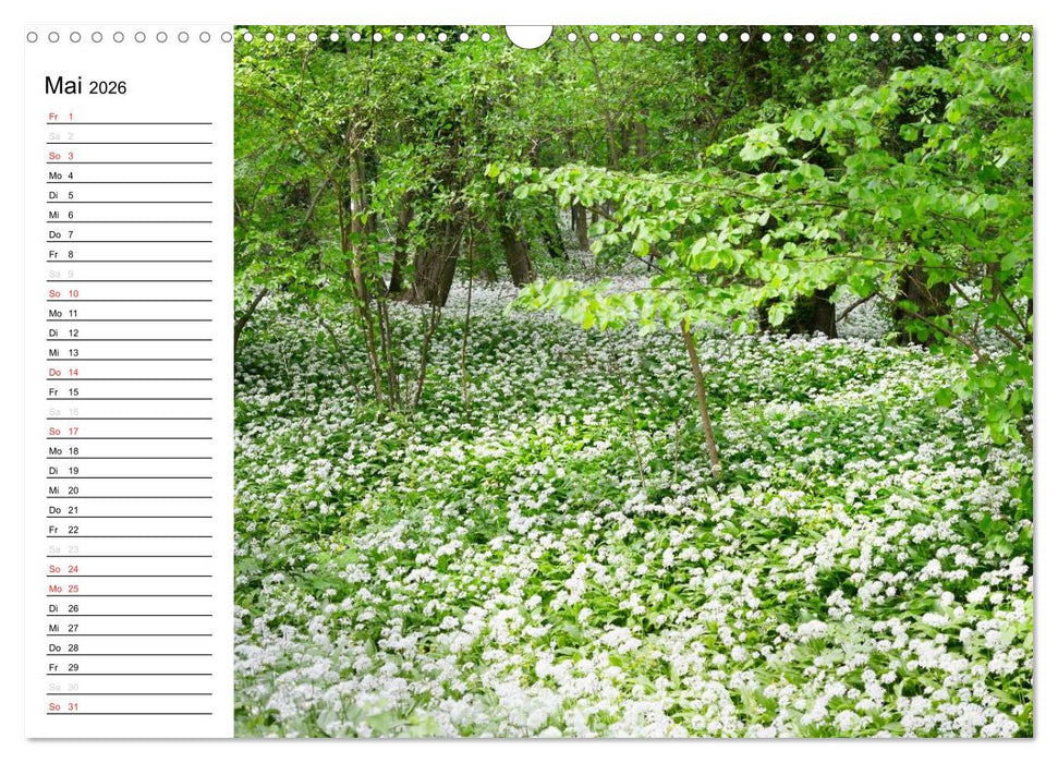 Die Jahreszeiten im Havelland (CALVENDO Wandkalender 2026)