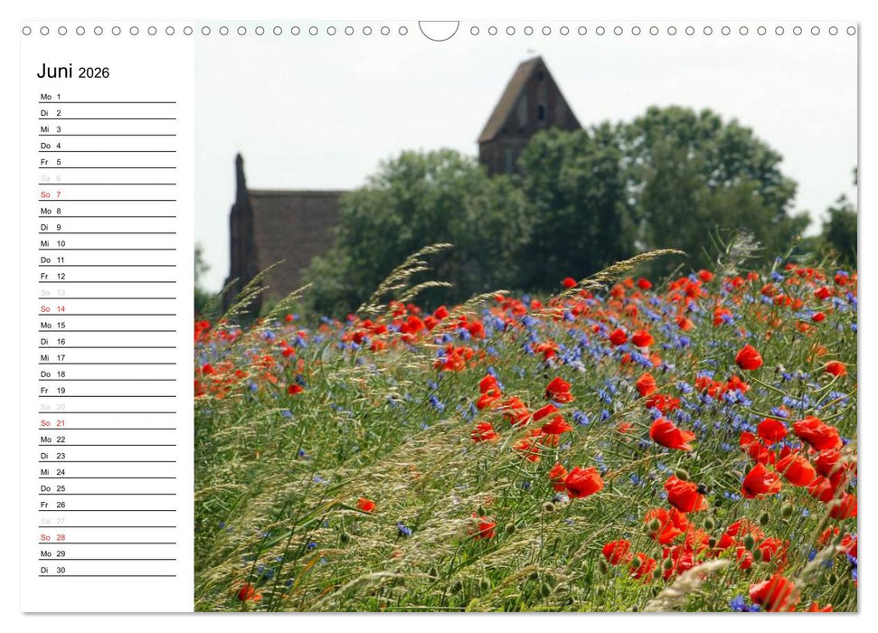 Die Jahreszeiten im Havelland (CALVENDO Wandkalender 2026)