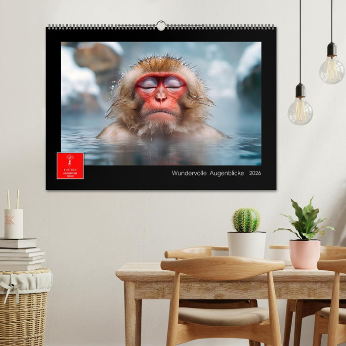 Wundervolle Augenblicke (CALVENDO Wandkalender 2026)