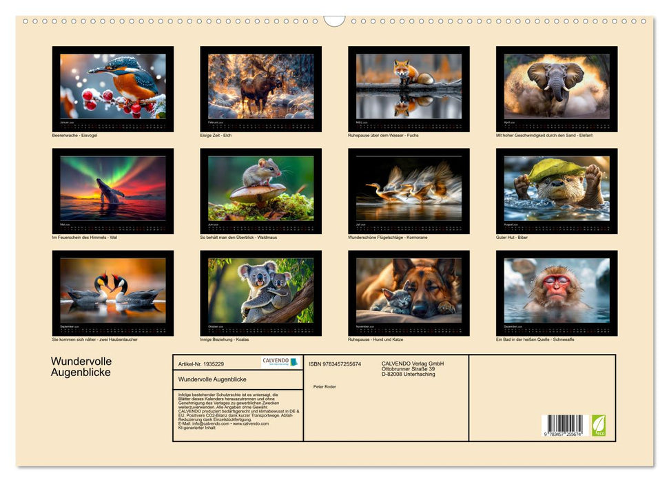 Wundervolle Augenblicke (CALVENDO Wandkalender 2026)