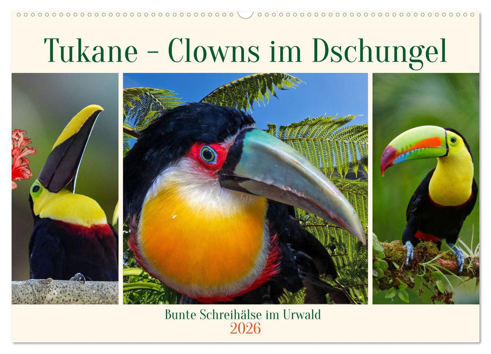 Tukane - Clowns im Dschungel (CALVENDO Wandkalender 2026)