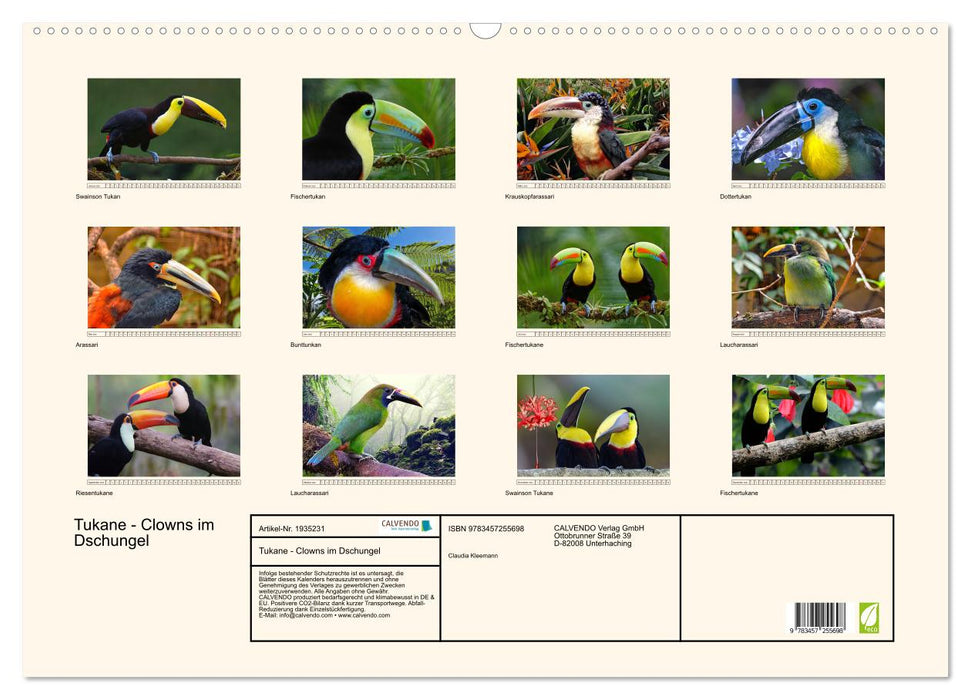 Tukane - Clowns im Dschungel (CALVENDO Wandkalender 2026)